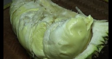 Durian kesimi.