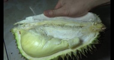 Durian kesimi.