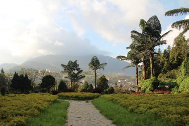 Vietnam 'daki tapınaklar ve festivaller