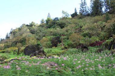 Vietnam 'daki dağ manzarası
