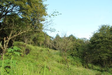 Vietnam 'daki dağ manzarası