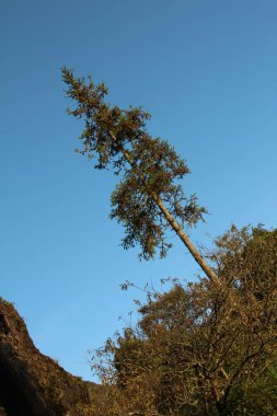 Vietnam 'daki dağ manzarası