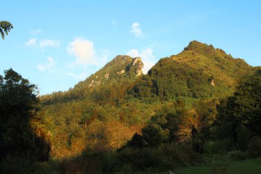 Vietnam 'daki dağ manzarası