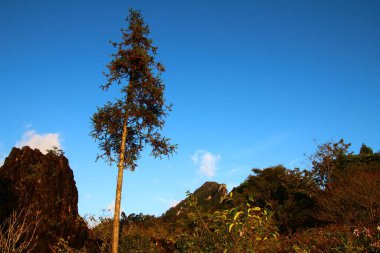Vietnam 'daki dağ manzarası