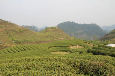 Vietnam 'daki dağ manzarası