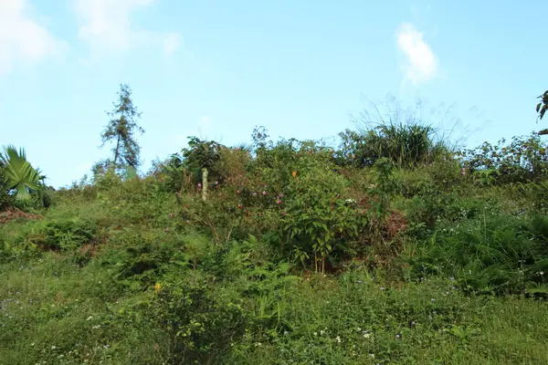 Vietnam 'daki dağ manzarası