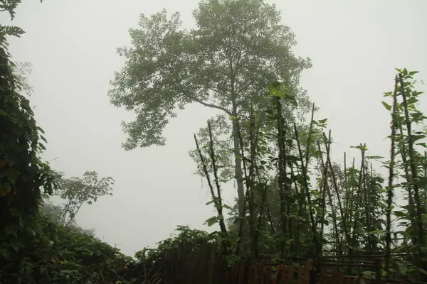 Vietnam 'daki dağ manzarası