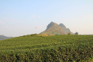 Vietnam 'daki dağ manzarası