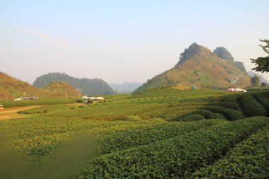 Vietnam 'daki dağ manzarası
