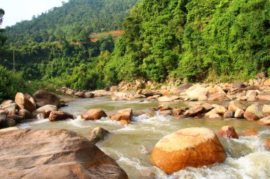 Vietnam 'daki dağ manzarası