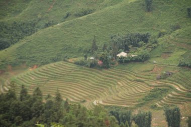 Vietnam 'daki dağ manzarası
