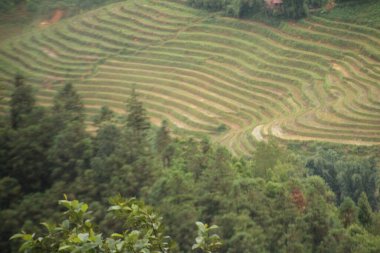 Vietnam 'daki dağ manzarası