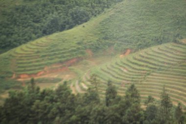 Vietnam 'daki dağ manzarası