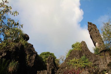 Vietnam 'daki dağ evi.