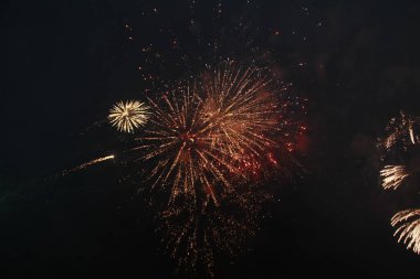 Vietnam 'da yeni yıl havai fişekleri