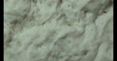  Vietnamlı kadın un yoğuruyor, ekmek ve kek yapıyor, kek pişiriyor.