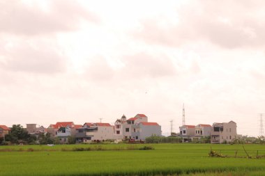 Vietnam 'daki pirinç tarlaları. Tarlada yeşil pirinç tarlaları var. Çiftçiler üzerinde çalışıyor. Arka planda köyler ve köy yolları var.