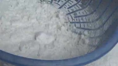 Çiftçinin eli un temizlemek için sepeti kullanıyor.