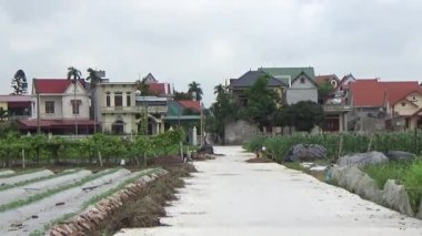 Vietnam kırsalındaki köy.