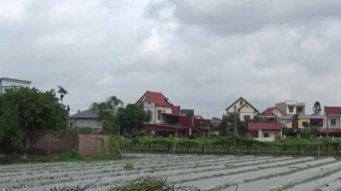 Vietnam kırsalındaki köy.