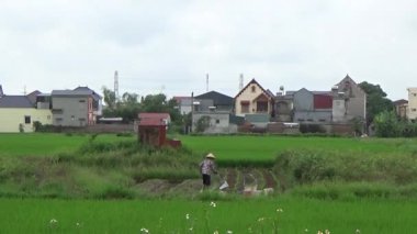 Vietnam kırsalındaki köy.