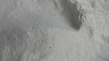 Çiftçinin eli un temizlemek için sepeti kullanıyor.