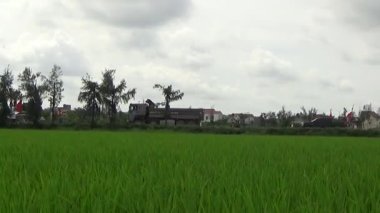 Vietnam kırsalındaki köy.