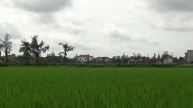 Vietnam kırsalındaki köy.