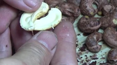 Ceviz sahnesi, kaju kabuğu.