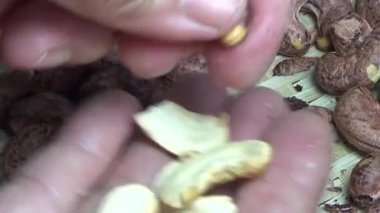 Ceviz sahnesi, kaju kabuğu.