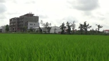 Vietnam kırsalındaki köy.