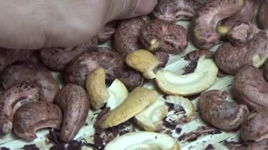 Ceviz sahnesi, kaju kabuğu.