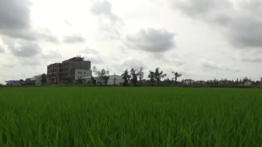 Vietnam kırsalındaki köy.