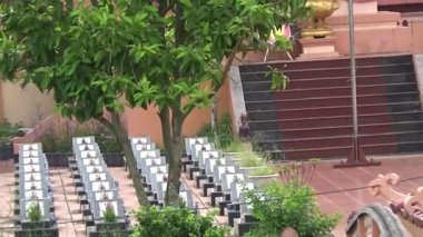 Vietnam kırsalındaki köy.