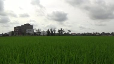 Vietnam kırsalındaki köy.