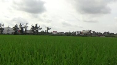 Vietnam kırsalındaki köy.