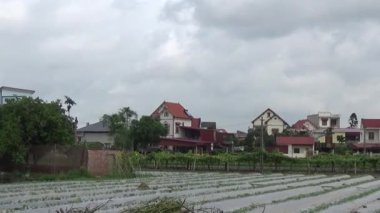 Vietnam kırsalındaki köy.