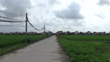 Vietnam kırsalındaki köy.