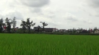 Vietnam kırsalındaki köy.