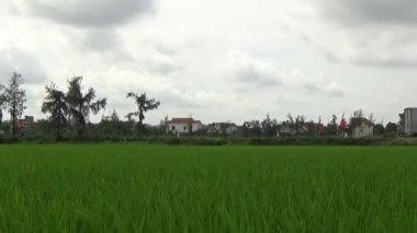 Vietnam kırsalındaki köy.