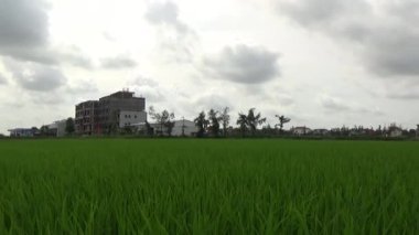 Vietnam kırsalındaki köy.