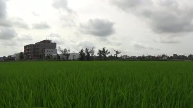 Vietnam kırsalındaki köy.