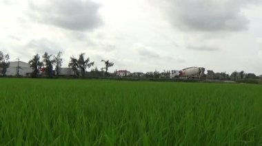 Vietnam kırsalındaki köy.