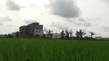 Vietnam kırsalındaki köy.