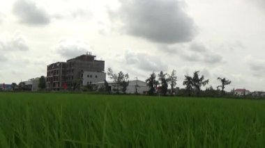 Vietnam kırsalındaki köy.