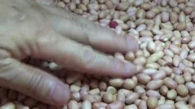 sepetin üzerinde fıstıklar