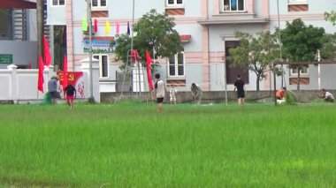 29 Ağustos 2025. Chu Van An, Hai Phong, Vietnam. Çocuklar sahada futbol oynuyor.