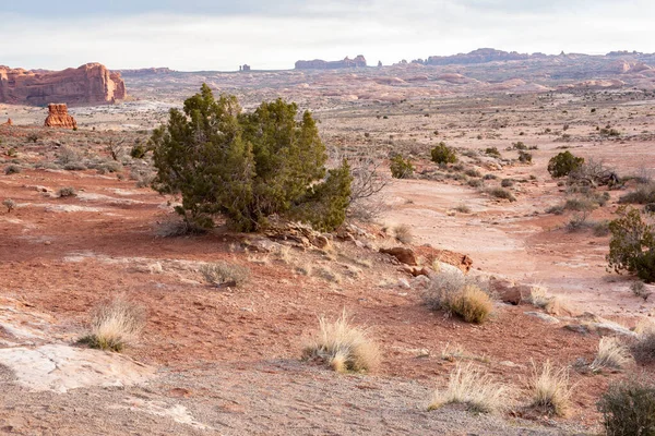 stock image Distant, early morning haze in Arches National Park, Utah