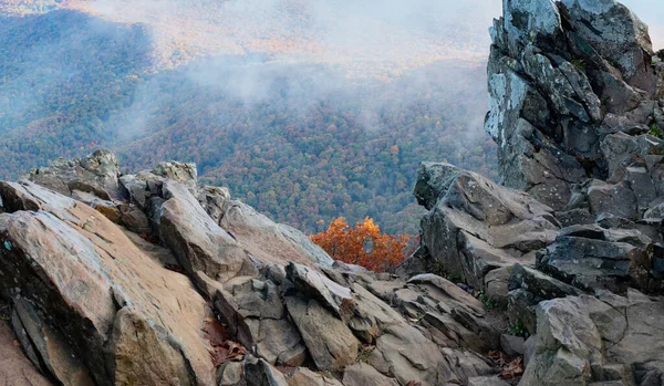 Hawksbill Dağı, Shenandoah Ulusal Parkı, Virginia 'nın zirvesinden yapraklar ve sis. 
