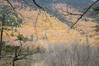 Crawford Notch 'un batı yüzü Sam Willey Trail, New Hampshire' dan